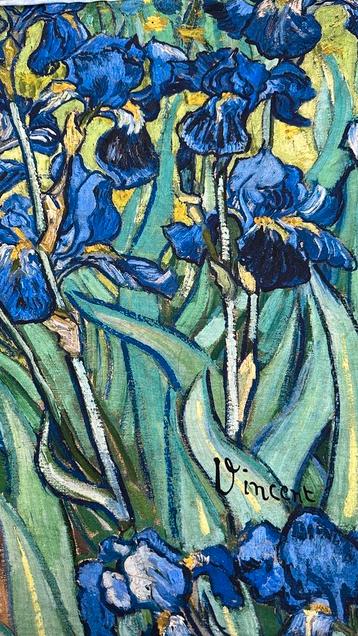 Vincent french terry pannel deel voor en achterkant beschikbaar voor biedingen