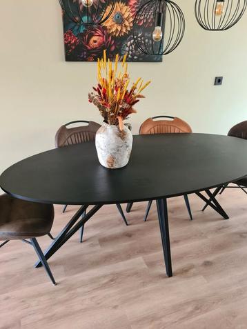 Kas20 Ovale Eettafel - Zwart Eiken - 200cm beschikbaar voor biedingen