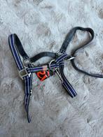 Shetlander halster Epplejeck, Ophalen of Verzenden, Nieuw, Overige soorten