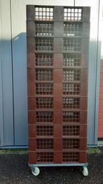 Te koop broodkratten, Ophalen, Krat, Minder dan 35 cm