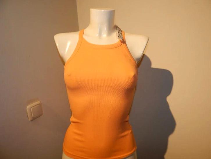 Stieglitz oranje basis top merklabel op de achterkant xs, Kleding | Dames, Tops, Zo goed als nieuw, Maat 34 (XS) of kleiner, Oranje