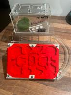 Mierenboerderij, Dieren en Toebehoren, Mieren