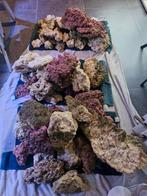 Levende stenen roze en wit div maten, Ophalen, Gebruikt, Plant(en), Steen of Hout