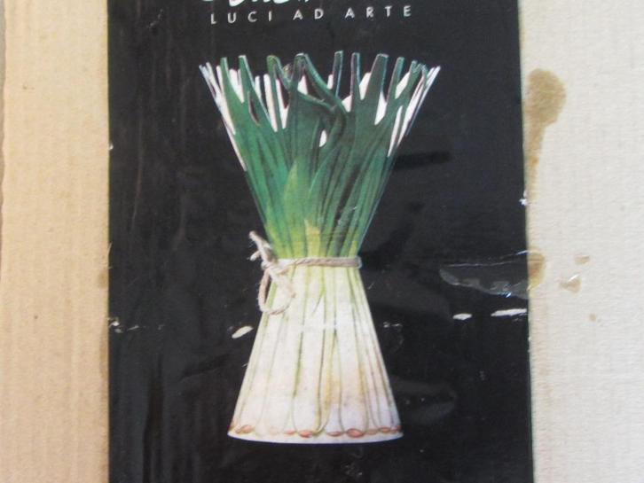 Cipollotti tafellamp, ui bosui, hyacint wortel enz Lucissima, Huis en Inrichting, Lampen | Tafellampen, Nieuw, Minder dan 50 cm