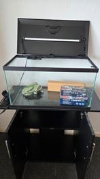 Ciano Aqua 60 met kast, verlichting, verwarmer, filter., Dieren en Toebehoren, Vissen | Aquaria en Toebehoren, Ophalen, Gebruikt