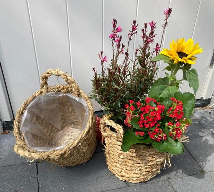 RIETENMAND BLOEMENMAND NIEUW, Tuin en Terras, Bloempotten, Nieuw, Overige materialen, Binnen, Minder dan 40 cm, 25 tot 40 cm, Rond