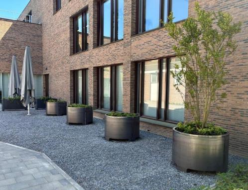 Ronde plantenbakken XXL Cor-Ten A, Tuin en Terras, Bloembakken en Plantenbakken, Gebruikt, Metaal, Binnen, Balkon, Tuin, Minder dan 60 cm