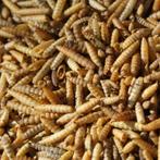 Larve zwarte Soldaatvlieg - 5 Liter - Natuurlijk koivoer, Verzenden, Nieuw, Overige typen