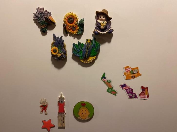 Set koelkastmagneten / koelkast magneten oa uit de Provence, Verzamelen, Overige Verzamelen, Zo goed als nieuw, Ophalen of Verzenden