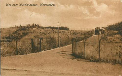 (388-090-011) Bloemendaal Weg naar Wilhelminaduin, Verzamelen, Ansichtkaarten | Nederland, Noord-Holland, Verzenden