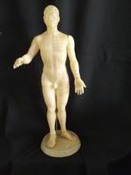 Accupunctuur pop, Ophalen, Zo goed als nieuw, Overige typen