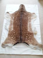 Rendier en Kalfshuid, Hobby en Vrije tijd, Stoffen en Lappen, Ophalen of Verzenden, Katoen, 30 tot 200 cm, 30 tot 120 cm