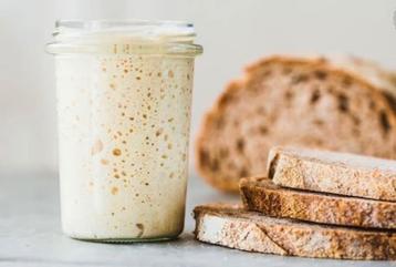 Actieve bio zuurdesemstarter, Zelf zuurdesembrood bakken beschikbaar voor biedingen