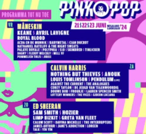 2x Pinkpop Weekendticket met camping, Tickets en Kaartjes, Evenementen en Festivals, Twee personen, Meerdaags
