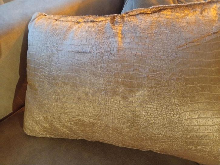 Croco Kussens - Stijlvol & Uniek!, Huis en Inrichting, Woonaccessoires | Kussens, Zo goed als nieuw, Beige, Vierkant, Ophalen of Verzenden