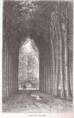 Rijs. Laan te Rijs ca. 1880, Ophalen of Verzenden