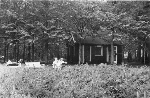 (388-398-015) Driebergen-Rijsenburg Het Grote Bos, Verzamelen, Ansichtkaarten | Nederland, Utrecht, Verzenden