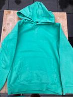 Hema hoodie maat 134, Kinderen en Baby's, Kinderkleding | Maat 134, Trui of Vest, Ophalen of Verzenden, Zo goed als nieuw, Hema