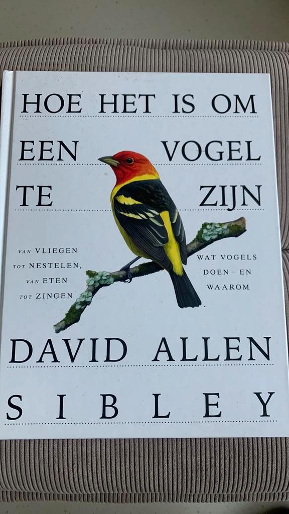 David Allen Sibley - Hoe het is om een vogel te zijn, Boeken, Dieren en Huisdieren, Zo goed als nieuw, Vogels, Ophalen