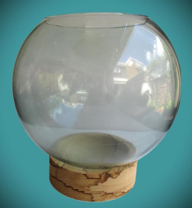 Bol~Glazen Vaas~Vissenkom~Terrarium~Snoepkom oid, Huis en Inrichting, Woonaccessoires | Vazen, Gebruikt, Overige kleuren, Minder dan 50 cm