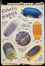 Cubaris/isopod/pissebed vinyl stickers, Ophalen of Verzenden, Nieuw, Meerdere stickers