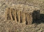 Hooibalen kleine baaltjes hooi paarden hooi, Ophalen, Vee