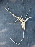 Siertak, Watersport en Boten, Ophalen, Zo goed als nieuw