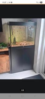 Juwel Lido 200 incl helialux 2x, Dieren en Toebehoren, Ophalen, Zo goed als nieuw, Leeg aquarium