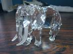 Swarovski jaarstuk Olifant incl. certificaat & orginele doos, Verzamelen, Swarovski, Ophalen of Verzenden, Nieuw