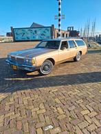 Pontiac 1987 Bruin, Bruin, 2080 kg, 4942 cc, Stationwagon
