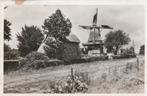 havelte   molen, Verzenden, 1940 tot 1960, Gelopen, Drenthe