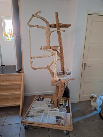 Hele grote java boom voor papegaai. beschikbaar voor biedingen
