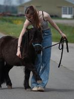 Verzorger/ bijrijder aangeboden!