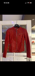 Leuke leren jas van Arma leathers., Ophalen of Verzenden, Gedragen, Maat 36 (S), Rood