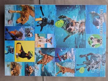 Underwater Dogs beschikbaar voor biedingen