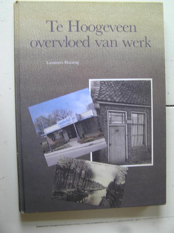 Te Hoogeveen overvloed van werk., Boeken, Geschiedenis | Stad en Regio, Gelezen, Ophalen of Verzenden