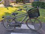 Legergroene cortina U4 24INCH, 3 versnellingen, 24 inch, Cortina U4 transportfiets, Versnellingen, Ophalen of Verzenden