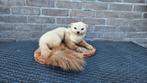 Japanse steenmarter taxidermie, Ophalen of Verzenden, Zo goed als nieuw