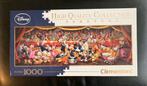 Disney Panorama Legpuzzel Clementoni, Ophalen