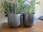2x bloempot grijs, Tuin en Terras, Bloempotten, Ophalen, Gebruikt, Rond, Binnen