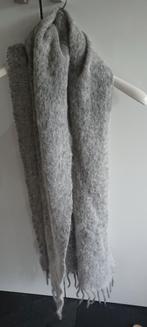 Lams wollen sjaal, Ophalen of Verzenden, Gedragen, Maat 46/48 (XL) of groter, Sjaal