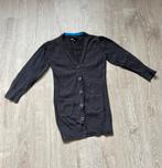 Vestje maat 98/104 WE, Kinderen en Baby's, Kinderkleding | Maat 104, Ophalen of Verzenden, Zo goed als nieuw, Meisje, Trui of Vest