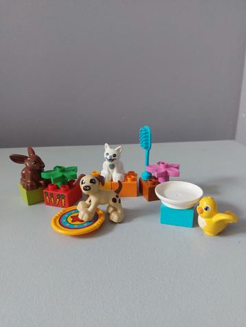 Duplo set 10838 huisdieren beschikbaar voor biedingen