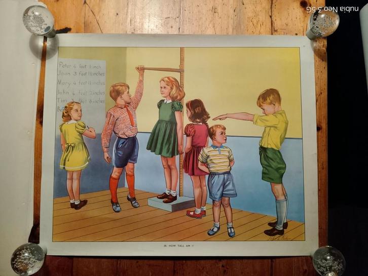 Vintage schoolposter  'How Tall Am I?'  John L. Baker, Antiek en Kunst, Kunst | Schilderijen | Modern, Ophalen of Verzenden