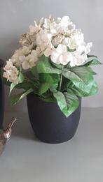 Bloempot Kleur: zwart, N.v.t., N.v.t., Rond, Binnen