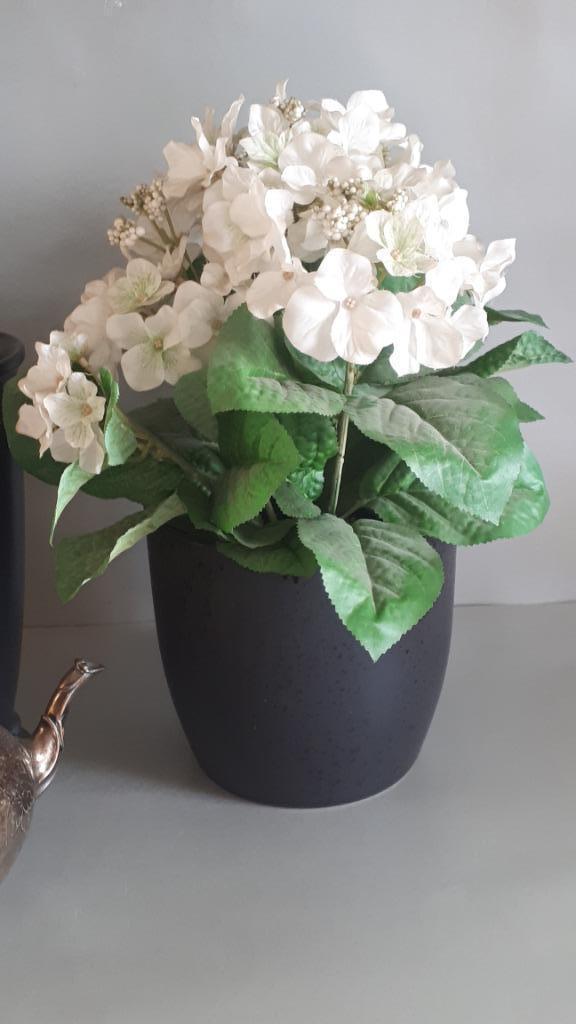 Bloempot Kleur: zwart, Tuin en Terras, Bloempotten, Zo goed als nieuw, Aardewerk, Binnen, Balkon, Minder dan 40 cm, Minder dan 25 cm