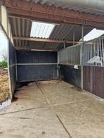 Paardenstal te huur, Dieren en Toebehoren, Stalling en Weidegang, 2 of 3 paarden of pony's, Weidegang