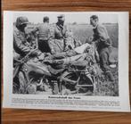 Duitse WO2 Kameradschaf der Front Kriegsberichter foto, Verzenden, Landmacht, Duitsland, Foto of Poster