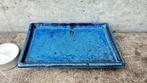Bonsai onderschaal schotel 13,5x8,5x2cm *****, Ophalen of Verzenden, Zomer, Overige soorten, Halfschaduw