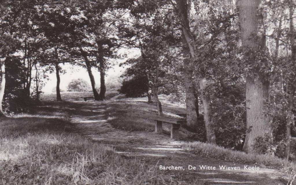 GA1181 Barchem De Witte Wieven Koele Ruurlo Lochem Zwiep, Verzenden, 1960 tot 1980, Gelopen, Gelderland